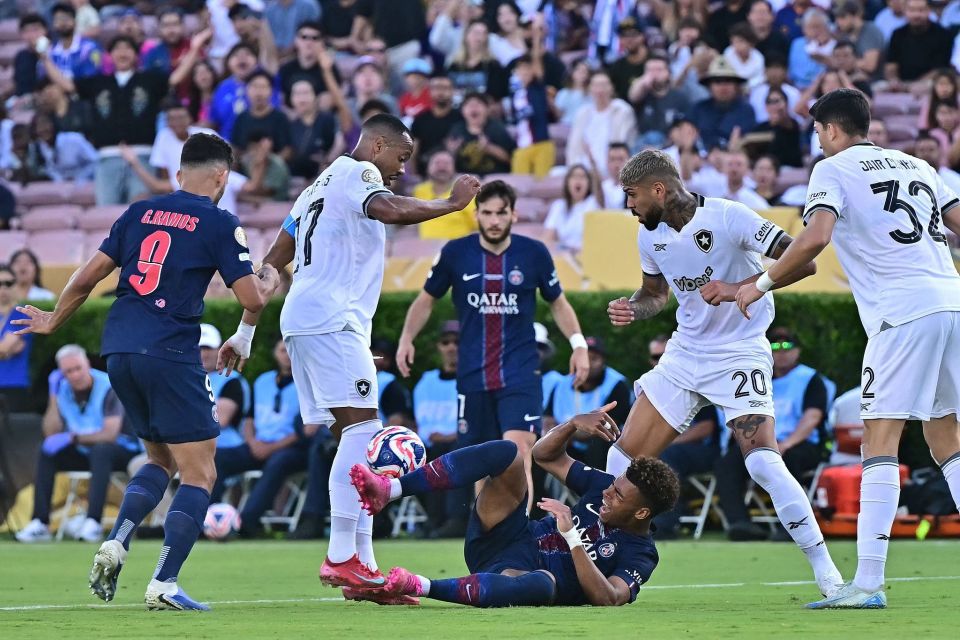 50厘米高 50厘米高